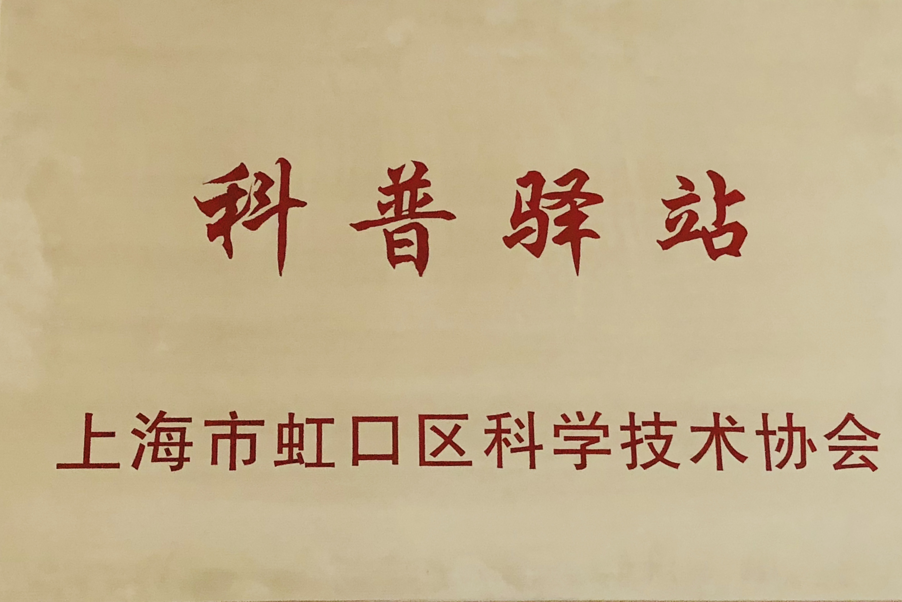 动态.jpg