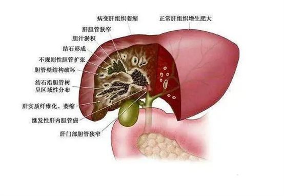 D:桌面外二科.jpg