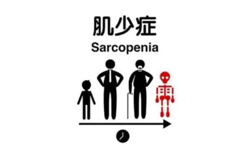 图片181.jpg
