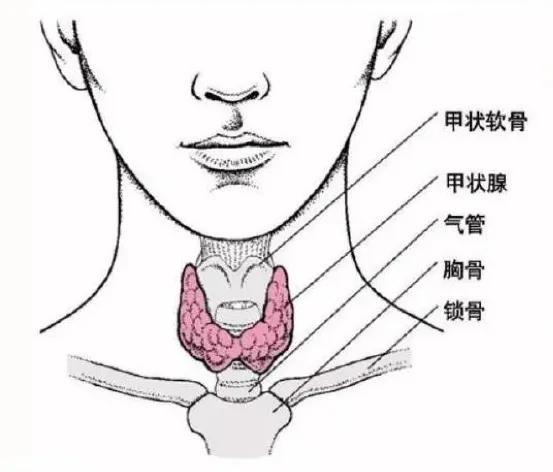 图片80.jpg