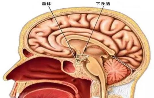 图片179.jpg
