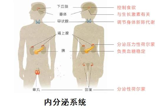 图片176.jpg