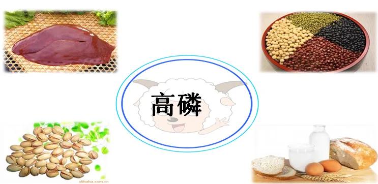 图片14.jpg